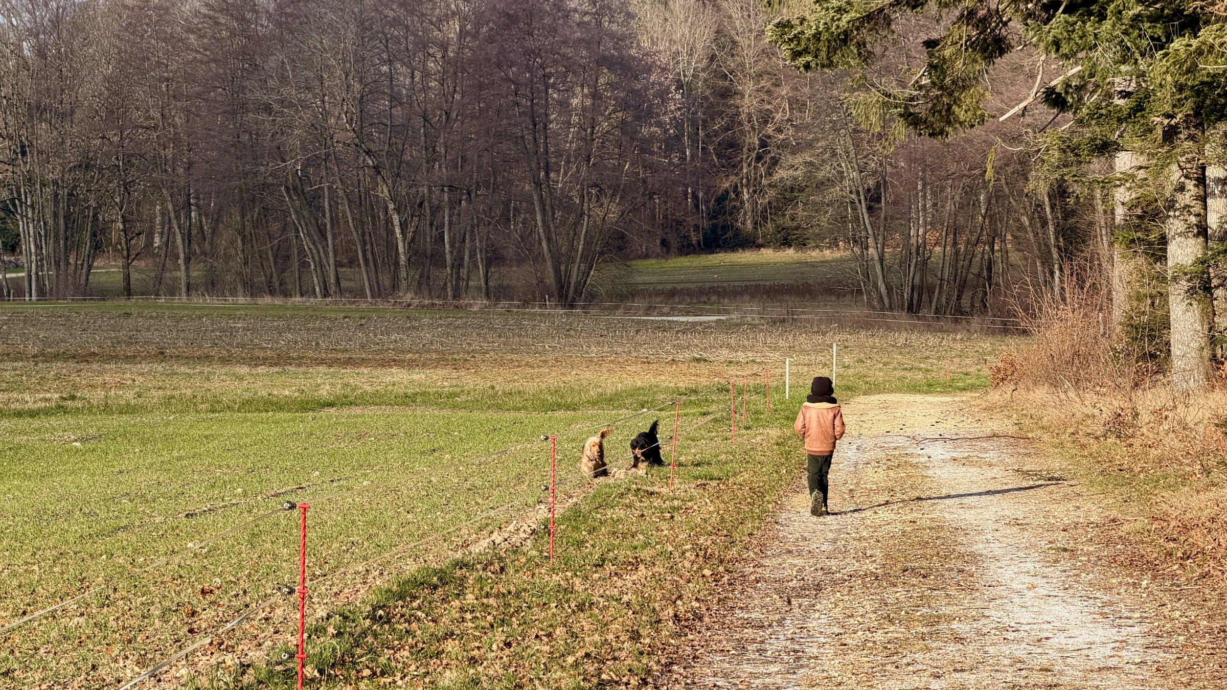Enfant, Le Mont-sur-Lausanne